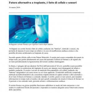CEROTTO BIONICO